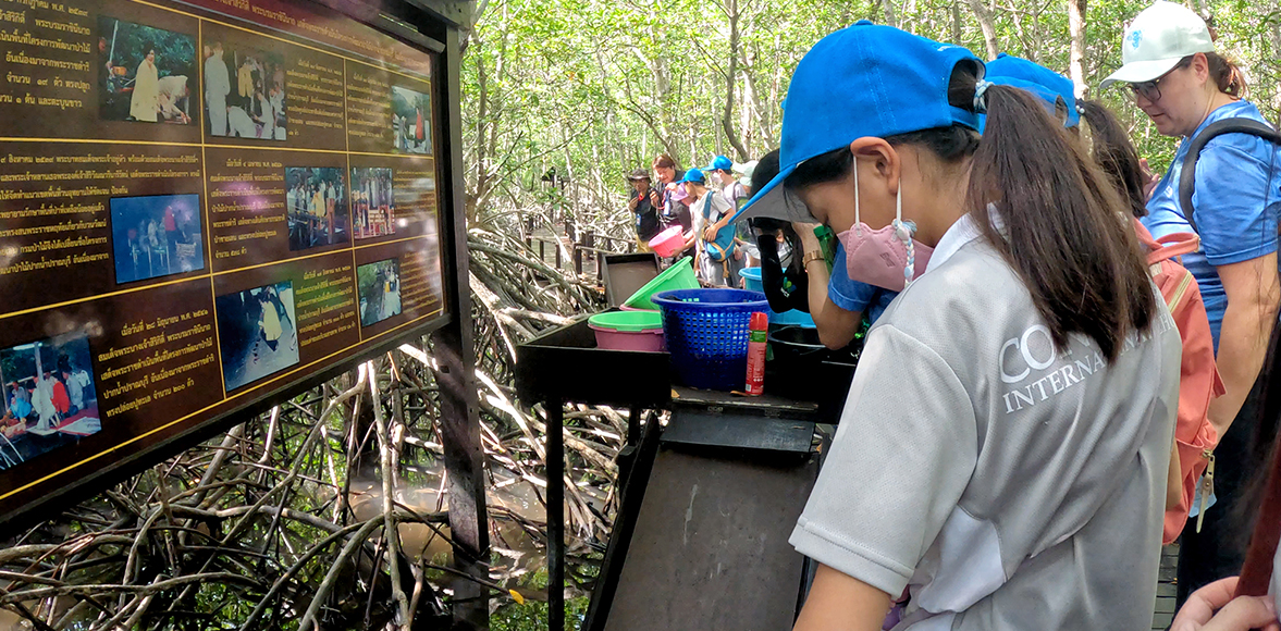 ค่ายเรียนรู้นิเวศวิทยาป่าชายเลน ณ วนอุทยานปราณบุรี โดย Concordian International School