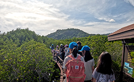 Pranburi Mangrove Learning Program'2023 โดย Concordian International School ณ วนอุทยานปราณบุรี