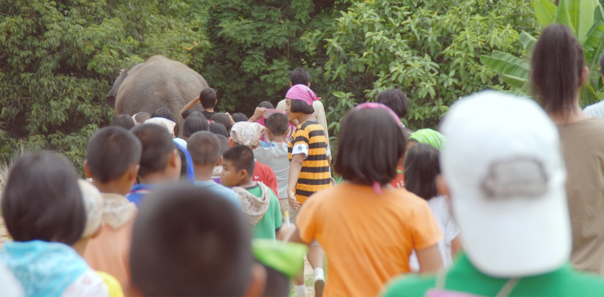 ค่ายเยาวชน ช้างน้อยในป่ากว้าง ครั้งที่ 7 โดย กองทุนวิจัยและอนุรักษ์ช้างไทย