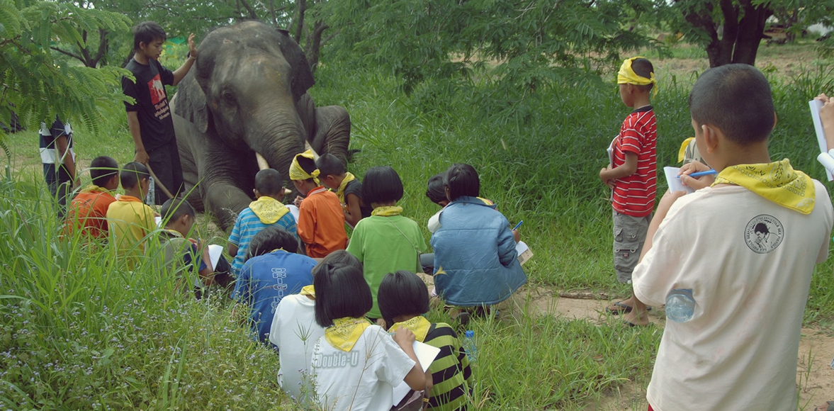 ค่ายเยาวชนช้างน้อยในป่ากว้าง ครั้งที่ 8 โดย กองทุนวิจัยและอนุรักษ์ช้างไทย