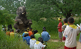 ค่ายเยาวชน ช้างน้อยในป่ากว้าง ครั้งที่ 8 โดย กองทุนวิจัยและอนุรักษ์ช้างไทย