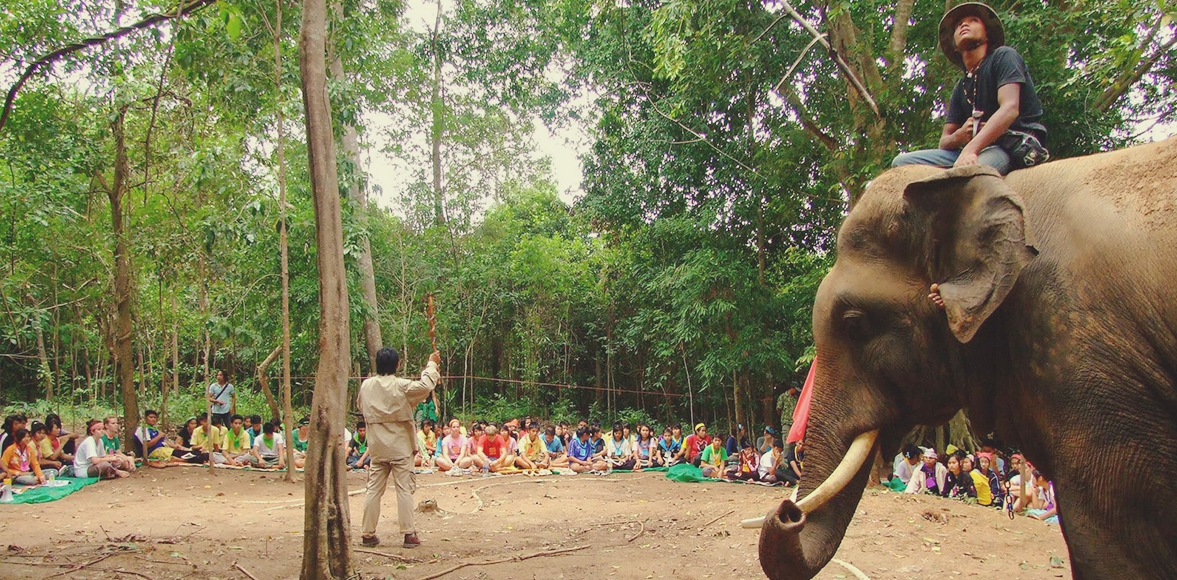 ค่ายเยาวชนช้างน้อยในป่ากว้าง ครั้งที่ 9 โดย กองทุนวิจัยและอนุรักษ์ช้างไทย