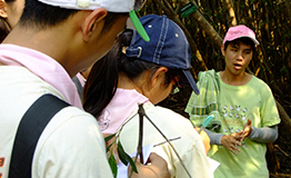 Pakchong School,Mangrove Learning Camp โดย โรงเรียน ปากช่อง
