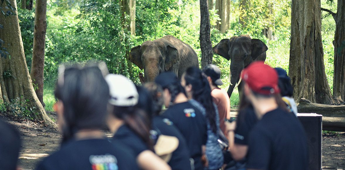 กิิจกรรมเรียนรู้และส่งเสริมการอนุรักษ์สิิ่งแวดล้อม ณ ศูนย์อนุรักษ์ช้างไทยเขาใหญ่