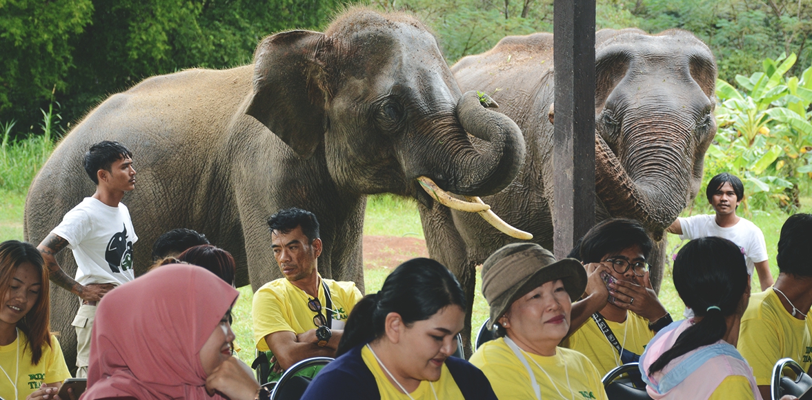 กิจกรรมส่งเสริมการอนุรักษ์ช้างไทย เขาใหญ่ โดย บริษัท โรจนะ ดิสทริบิวชั่น เซ็นเตอร์ จํากัด