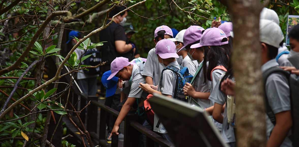 กิิจกรรมเรียนรู้นิเวศวิทยาป่าชายเลน ณ วนอุทยานปราณบุรี โดย Concordian International School