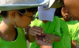 ค่ายเยาวชน (Youth Camp)