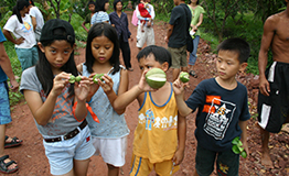 ค่ายเยาวชน (Youth Camp)