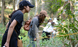 Mahidol,Kaengkrachan Nature Camp #2 โดย มหาวิทยาลัยมหิดล