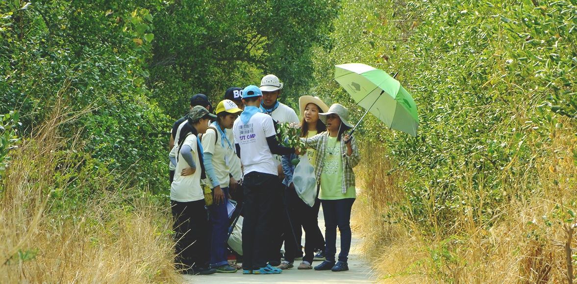 Pakchong School,Mangrove Learning Camp โดย โรงเรียน ปากช่อง