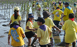 โรงเรียนพิชญศึกษา , ค่ายเยาวชนเรียนรู้ป่าชายเลน