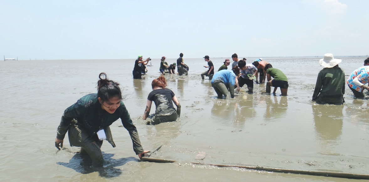 Mangrove Learning Activity #1 โดย มศว.นานาชาติ ,หลักสูตรศิลปศาสตรบัณฑิต สาขาวิชาการท่องเที่ยวอย่างยั่งยืน