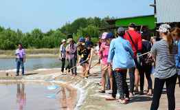 Salt & Mangrove Learning Activity #2 โดย มศว.นานาชาติ ,หลักสูตรศิลปศาสตรบัณฑิต สาขาวิชาการท่องเที่ยวอย่างยั่งยืน