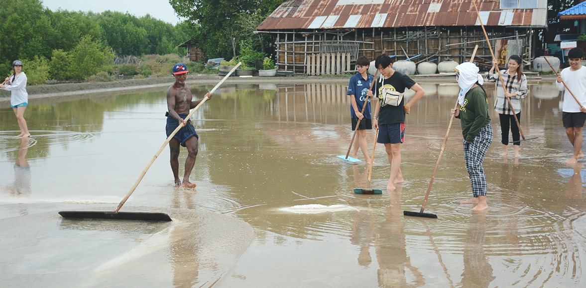 Salt & Mangrove Learning Activity #4 โดย มศว.นานาชาติ ,หลักสูตรศิลปศาสตรบัณฑิต สาขาวิชาการท่องเที่ยวอย่างยั่งยืน 