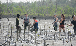 Salt & Mangrove Learning Activity #4 โดย มศว.นานาชาติ ,หลักสูตรศิลปศาสตรบัณฑิต สาขาวิชาการท่องเที่ยวอย่างยั่งยืน 