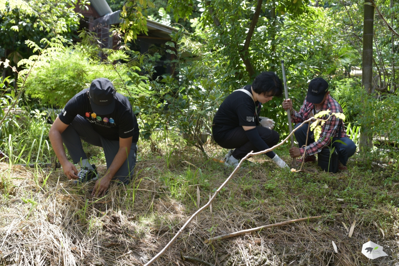 WWFxAgoda - กิิจกรรมเรียนรู้วิถีชุมชนบางกะเจ้้า ณ ศูนย์การเรียนรู้บ้านบางกระสอบ(หอมป่าจาก)