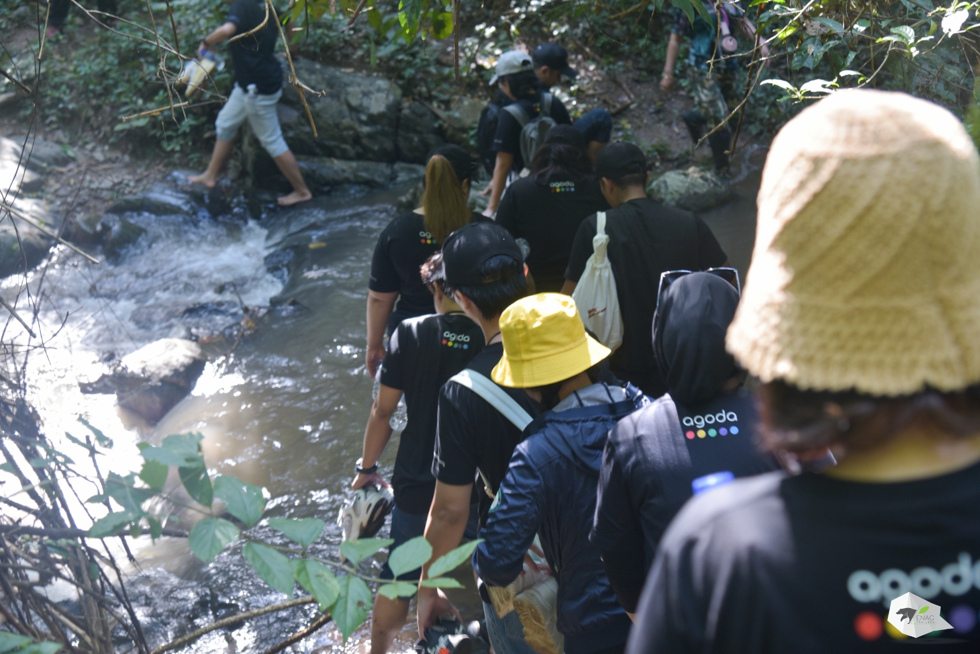 WWFxAgoda - กิิจกรรมเรียนรู้ความหลากหลายทางชีวภาพแก่งกระจาน ณ อุทยานแห่งชาติแก่งกระจาน