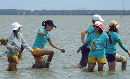 Mangrove Learning & CSR Activity โดย บริษัท แบลคมอร์ส จำกัด