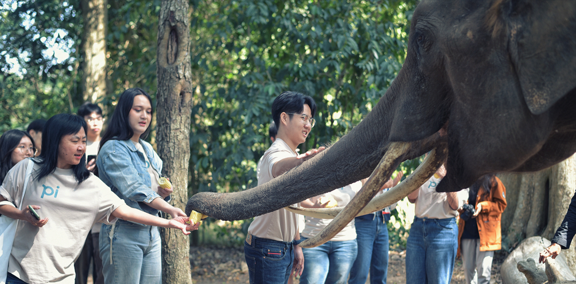 กิิจกรรมส่งเสริมการอนุรักษ์ช้างไทย และสนับสนุนเงินทุนเพิื่อการศึกษา โดย Country Group Holdings