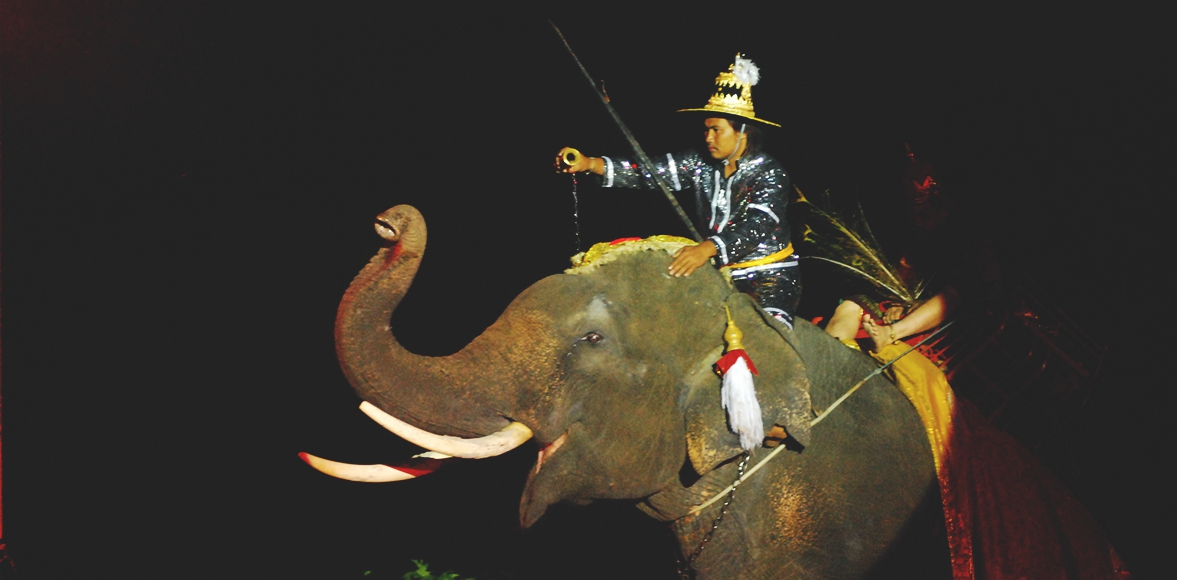 คอนเสิร์ต ดนตรี ชายเขา เรื่องเล่า ช้างไทย โดย ศูนย์อนุรักษ์ช้างไทยเขาใหญ่