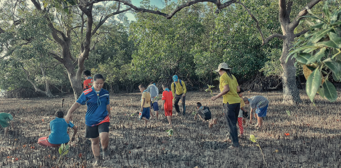 โครงการ มิชลินก้าวนี้ รักษ์โลก , กิจกรรม 10 ชุมชนปลูกป่า โดย บริษัท สยามมิชลิน จำกัด