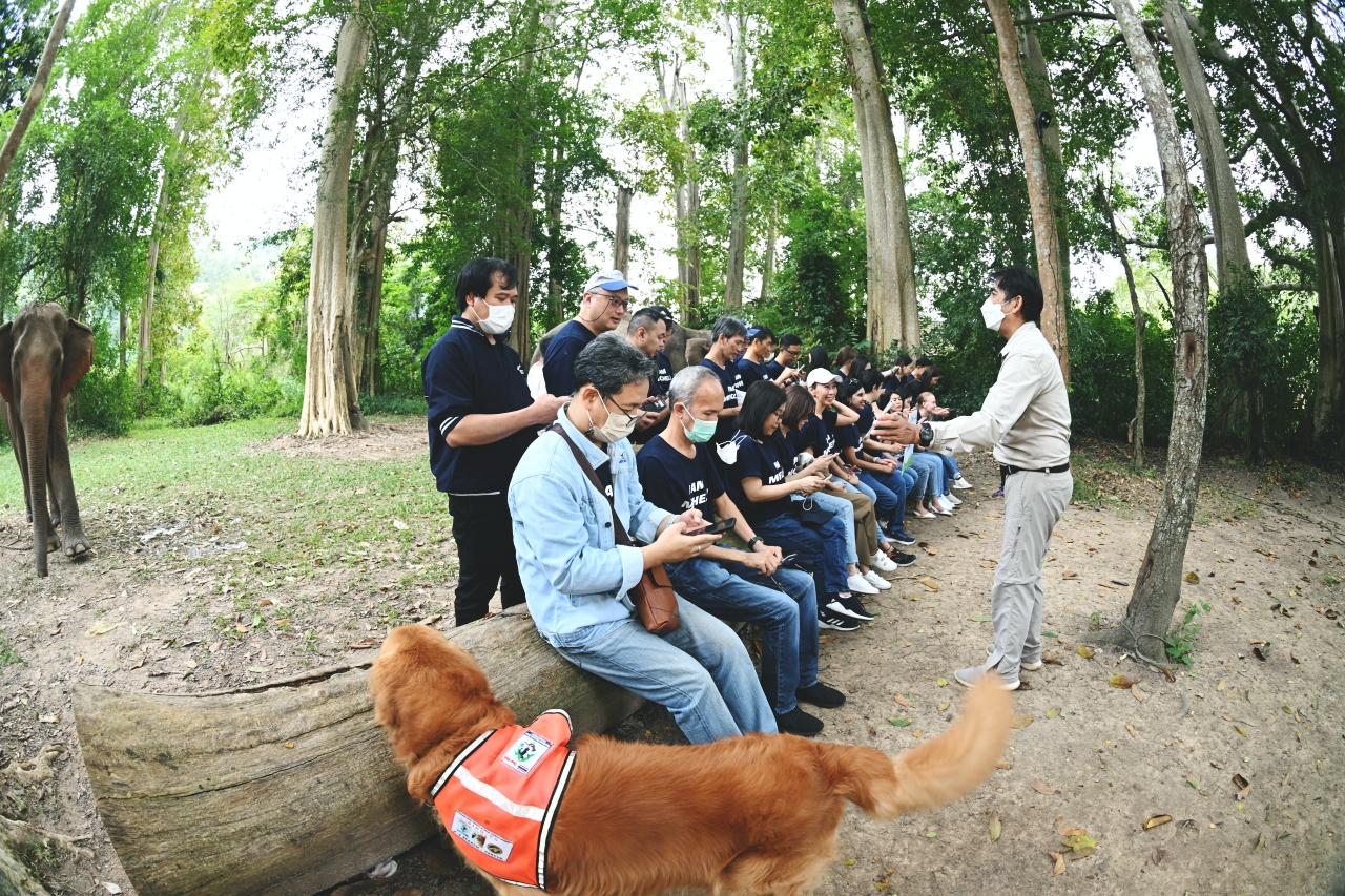 กิิจกรรมเรียนรู้และส่งเสริมการอนุรักษ์ช้างไทย ณ ศูนย์อนุรักษ์ช้างไทยเขาใหญ่ โดย Michelin Thailand