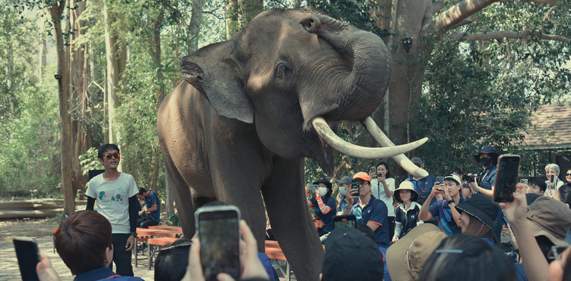 กิิจกรรมเรียนรู้และส่งเสริมการอนุรักษ์สิิ่งแวดล้อม ณ ศูนย์อนุรักษ์ช้างไทยเขาใหญ่