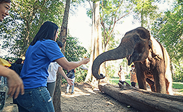 กิจกรรมส่งเสริมการอนุรักษ์ช้างไทย เขาใหญ่ โดย สำนักงานคณะกรรมการกำกับและส่งเสริมการประกอบธุรกิจประกันภัย (คปภ.)