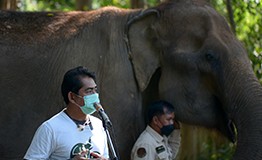 Elephant Learning & CSR Activity โดย กองทุนสวัสดิการสำนักงาน (คปภ.)