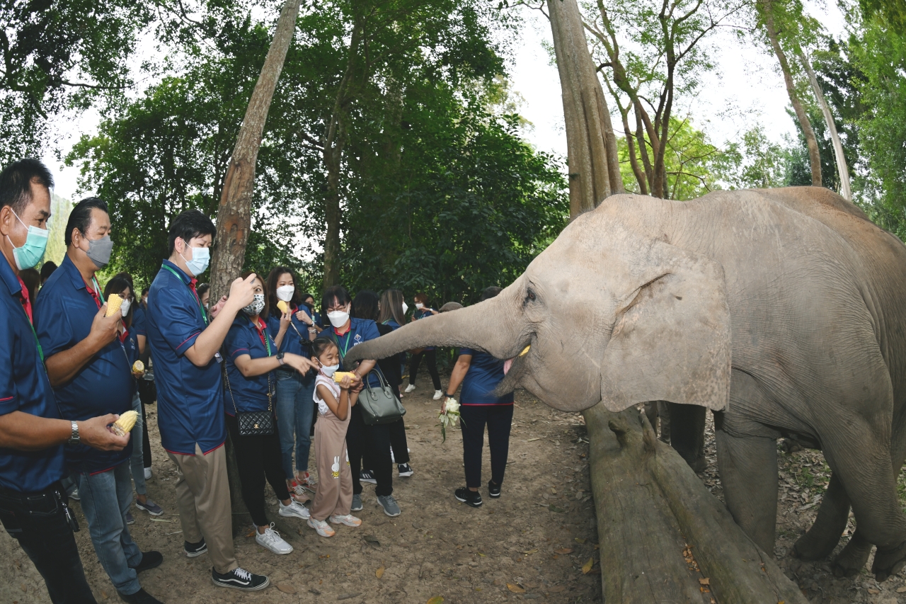 ศูนย์อนุรักษ์ช้างไทยเขาใหญ่ โดย สำนักงานคณะกรรมการกำกับและส่งเสริมการประกอบธุรกิจประกันภัย (คปภ.)