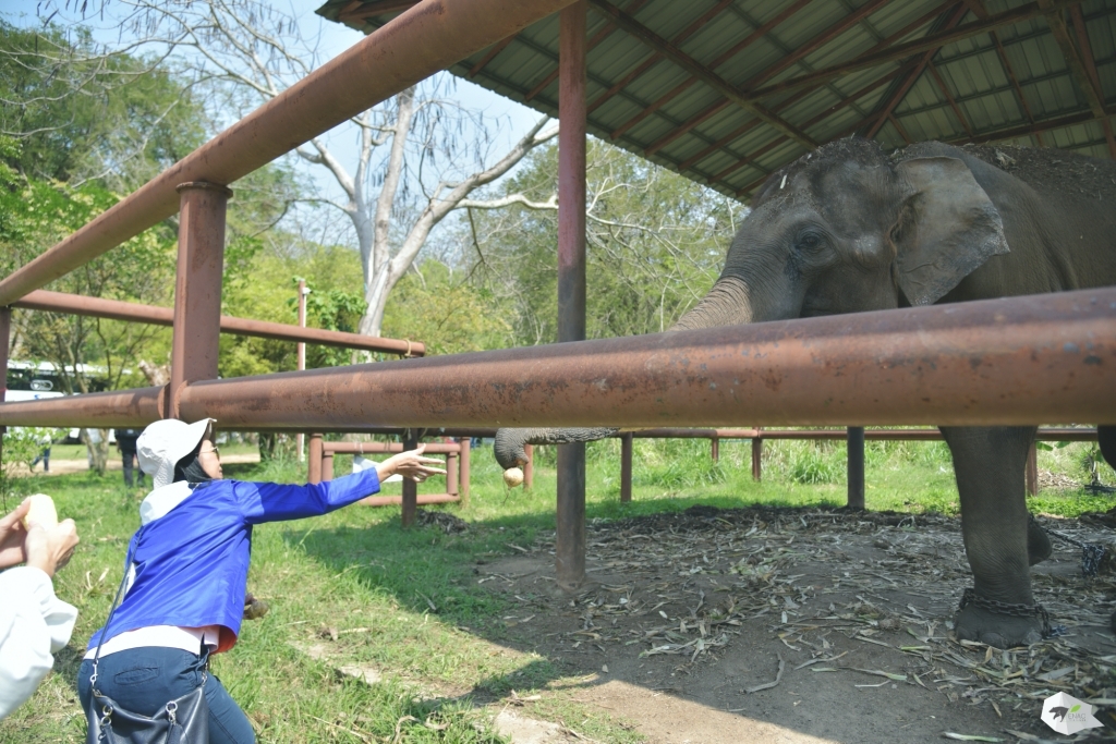ศูนย์อนุรักษ์ช้างไทยเขาใหญ่ โดย หลักสูตรวิทยาการประกันภัยระดับสูง (วปส.) รุ่นที่ 11