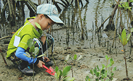 กิจกรรมส่งเสริมการอนุรักษ์ป่าชายเลน โดย มูลนิธิปิยะเวท โรงพยาบาลปิยะเวท