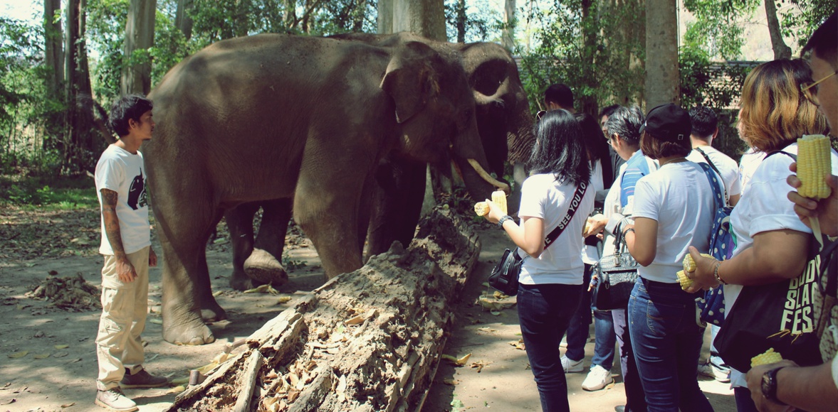 กิจกรรมส่งเสริมการอนุรักษ์ช้างไทย เขาใหญ่ โดย การกีฬาแห่งประเทศไทย