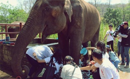 SAT : Relationship & Elephant CSR Activityโดย การกีฬาแห่งประเทศไทย