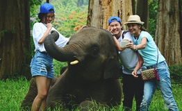 กิจกรรมส่งเสริมการอนุรักษ์ช้างไทย โดย บริษัท หลักทรัพย์ ยูบีเอส (ประเทศไทย) จำกัด