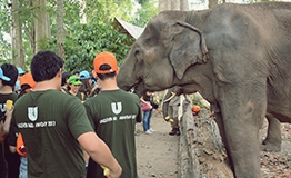 กิจกรรมส่งเสริมการอนุรักษ์ช้างไทยเขาใหญ่ โดย บริษัท ยูนิลีเวอร์ไทยโฮลดิ้ง จำกัด