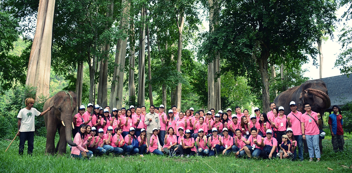 โครงการรักษ์บ้านเรา #ช้างไทยเพื่อการอนุรักษ์ โดย บริษัท เวสท์คอน จำกัด